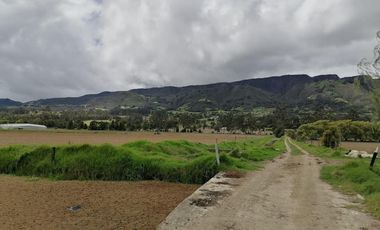 finca en venta en vereda nescuata. Cod V3054