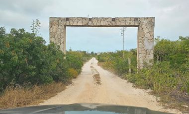 TERRENO EN SAN BENITO DZEMUL YUCATAN