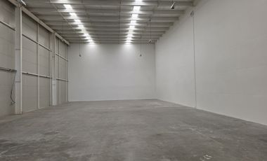 Bodega en Renta en PIBSA en Celaya Gto.
