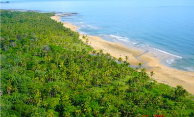 Finca de Playa con Frente de mar - Costa Arriba de Colon, Palenque