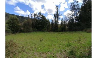 SE VENDE PARCELA DE 3.6 Ha EN PERIQUILLO, HUALQUI