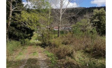 SE VENDE PARCELA DE 3.6 Ha EN PERIQUILLO, HUALQUI