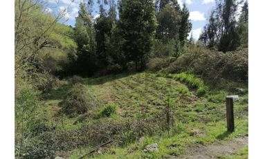 SE VENDE PARCELA DE 3.6 Ha EN PERIQUILLO, HUALQUI