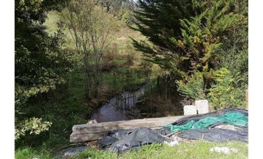 SE VENDE PARCELA DE 3.6 Ha EN PERIQUILLO, HUALQUI