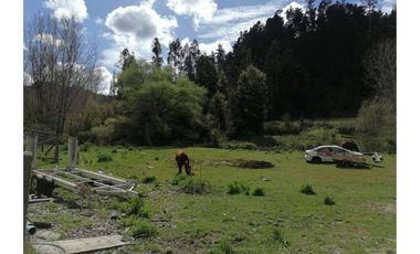 SE VENDE PARCELA DE 3.6 Ha EN PERIQUILLO, HUALQUI