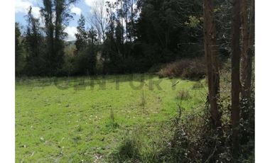 SE VENDE PARCELA DE 3.6 Ha EN PERIQUILLO, HUALQUI