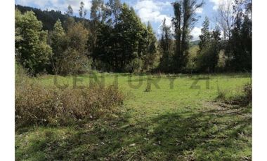 SE VENDE PARCELA DE 3.6 Ha EN PERIQUILLO, HUALQUI