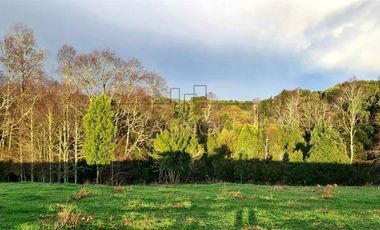 Sitio en Venta en Los Muermos