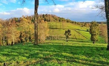 Sitio en Venta en Los Muermos