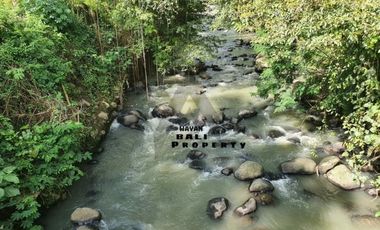 Tanah 1.5 Hektar View Sawah Di Penebel