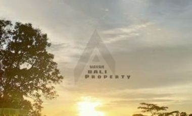 Tanah 1.5 Hektar View Sawah Di Penebel