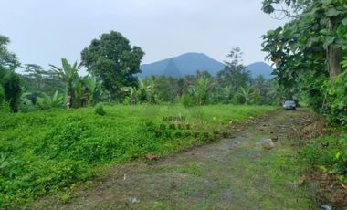 Tanah 1.5 Hektar View Sawah Di Penebel