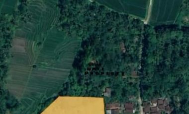 Tanah 1.5 Hektar View Sawah Di Penebel