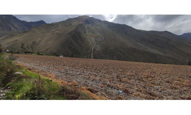 VENDO TERRENO 35,000 M2 SECTOR CHILCA OLLANTAYTAMBO CUSCO PERU