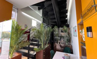 edificio en arriendo/venta en maldonado. Cod A5062