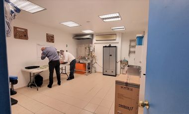 Venta Bodega en Argentina Poniente Dentro de Parque Industrial