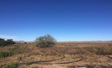 Terreno en Venta en Cieneguillas Zacatecas Cerca de La Coca Cola Salida a Jerez