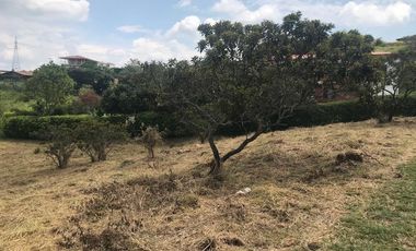 lote en venta en potrerito. Cod V7470388
