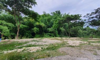 168 SQM READY FOR BUILDING Lot for Sale in GREENWOODS SUBDIVISION near Talamban Cebu City