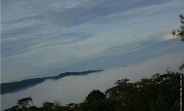 Venta: Finca de 525,000 m2 en Cerro Azul