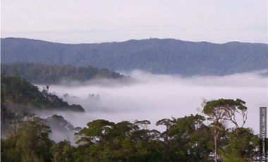 Venta: Finca de 525,000 m2 en Cerro Azul