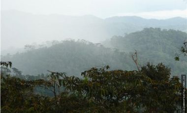 Venta: Finca de 525,000 m2 en Cerro Azul