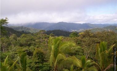 Venta: Finca de 525,000 m2 en Cerro Azul