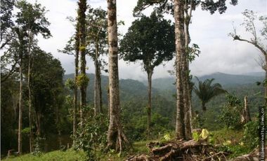 Venta: Finca de 525,000 m2 en Cerro Azul