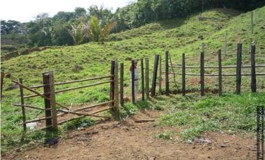 Venta: Finca de 525,000 m2 en Cerro Azul