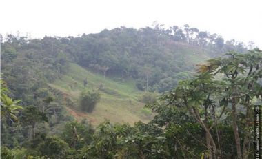 Venta: Finca de 525,000 m2 en Cerro Azul