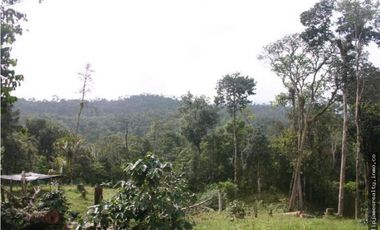 Venta: Finca de 525,000 m2 en Cerro Azul