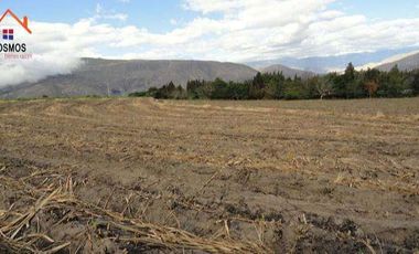 Venta de Propiedad de 66 hectáreas en Salinas de Ibarra