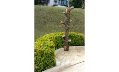 VENTA FINCA EN COPACABANA
