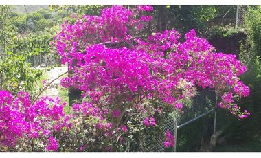 VENTA FINCA EN COPACABANA