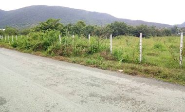 Land for sale in Ban Sahakon, Chiang Mai