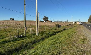 Terreno en venta en San Nicolás, a 15 minutos de Chillán