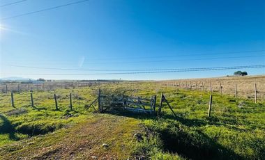 Terreno en venta en San Nicolás, a 15 minutos de Chillán