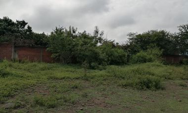 TERRENO TETELCINGO, CUAUTLA, MORELOS A 2 HORAS DE CIUDAD MÉXICO