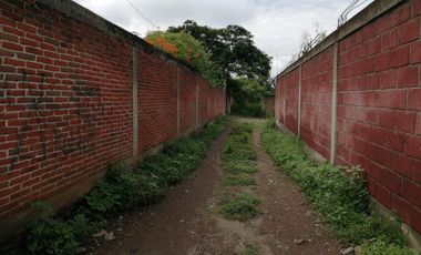 TERRENO TETELCINGO, CUAUTLA, MORELOS A 2 HORAS DE CIUDAD MÉXICO