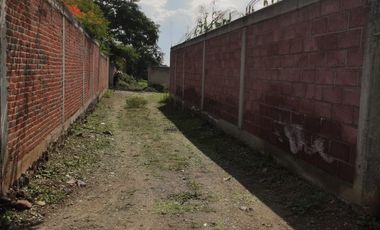TERRENO TETELCINGO, CUAUTLA, MORELOS A 2 HORAS DE CIUDAD MÉXICO