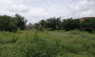 TERRENO TETELCINGO, CUAUTLA, MORELOS A 2 HORAS DE CIUDAD MÉXICO