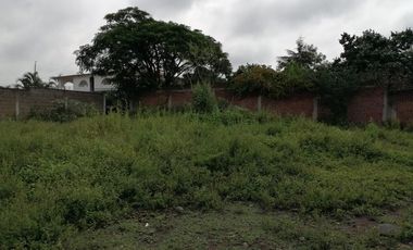 TERRENO TETELCINGO, CUAUTLA, MORELOS A 2 HORAS DE CIUDAD MÉXICO