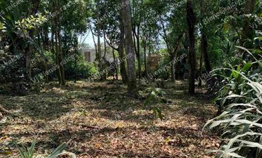 TERRENO  HERMOSO EN  FRACCIONAMIENTO PRIVADO EN LA ORDUÑA  COATEPEC