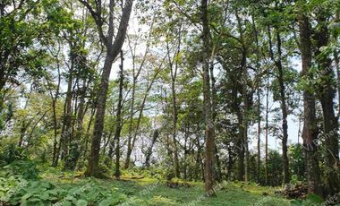 TERRENO  HERMOSO EN  FRACCIONAMIENTO PRIVADO EN LA ORDUÑA  COATEPEC