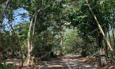 TERRENO  HERMOSO EN  FRACCIONAMIENTO PRIVADO EN LA ORDUÑA  COATEPEC