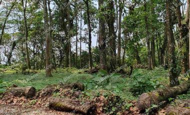 TERRENO  HERMOSO EN  FRACCIONAMIENTO PRIVADO EN LA ORDUÑA  COATEPEC