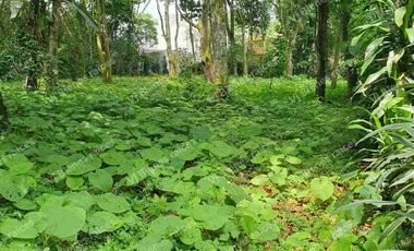 TERRENO  HERMOSO EN  FRACCIONAMIENTO PRIVADO EN LA ORDUÑA  COATEPEC