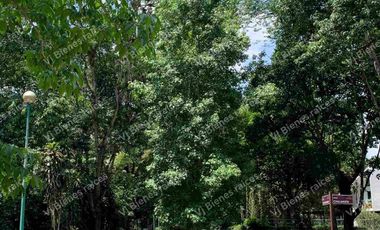 TERRENO  HERMOSO EN  FRACCIONAMIENTO PRIVADO EN LA ORDUÑA  COATEPEC