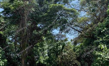 TERRENO  HERMOSO EN  FRACCIONAMIENTO PRIVADO EN LA ORDUÑA  COATEPEC