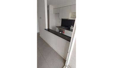 Araujo 183